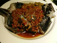 鸭嘴鱼剁椒鱼头-川里谈·川味小馆(北京路店)