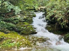 -紫鹊界梯田景区