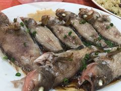 -蚝乡农庄(铁涌赤岸店)