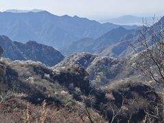 -大岭沟猕猴桃谷风景区