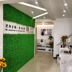-臣丽纹眉品牌连锁