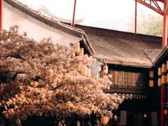 -杭州宋城