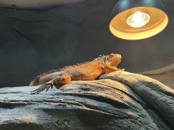 -Zoolung Zoolung动物主题公园(海信广场店)