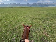-新疆那拉提国家旅游度假区