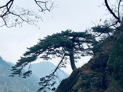 -泰山风景名胜区