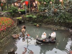 -青城甲(青城山店)
