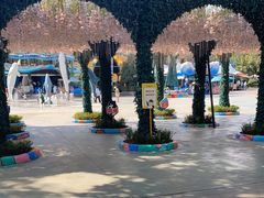 -海合安成都极地海洋公园
