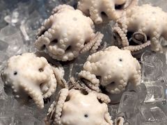 白灼章鱼-铭聚章鱼土笋冻(松柏店)