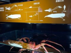 -同济大学四平路校区深海探索馆