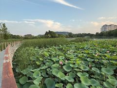 -南京工程学院(江宁校区)