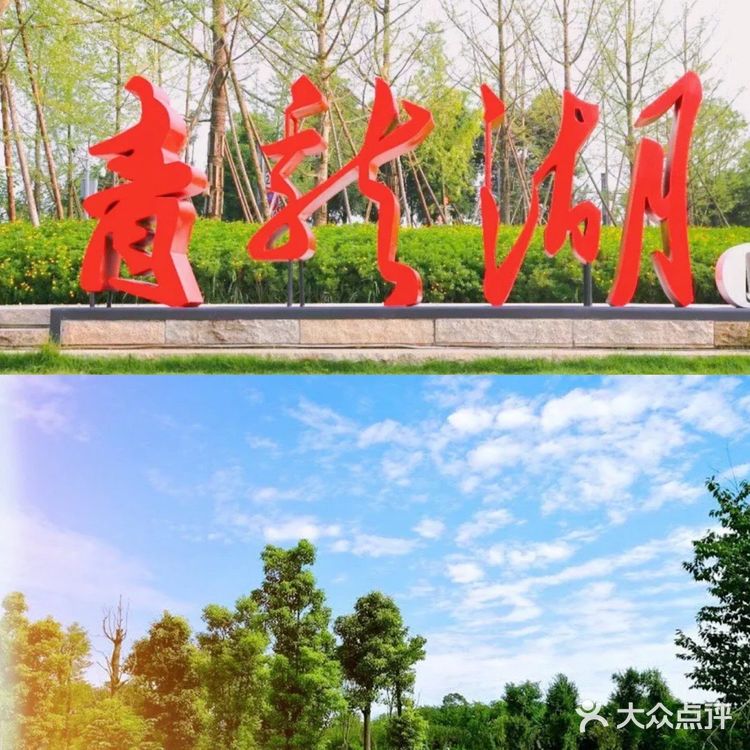 成都旅游攻略丨美好的湿地公园介绍给美好的你