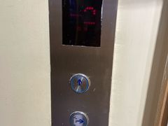 -雀舞云南菜(乐客城店)