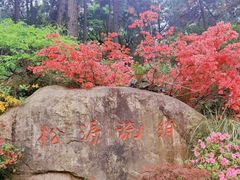 -临平公园(临平街道)
