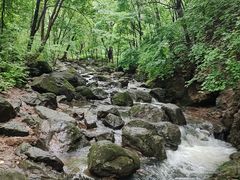 -香炉山国家森林公园