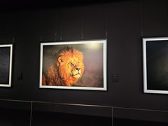 -罗红摄影艺术馆