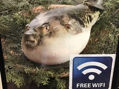 -玄品河豚(那覇國際通里之関)