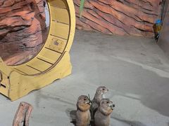 -正佳雨林生态植物园