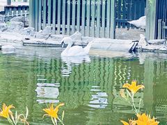 -北京市海淀外国语实验学校