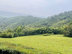 -敬亭山风景名胜区