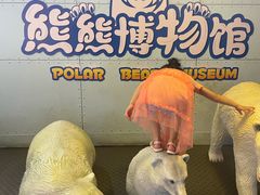 -海合安武汉极地海洋公园