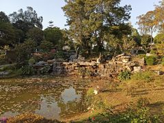-东莞植物园