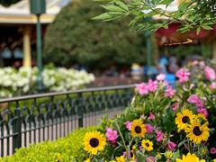 -上海迪士尼度假区