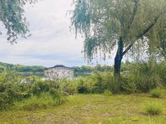 -长广溪湿地公园