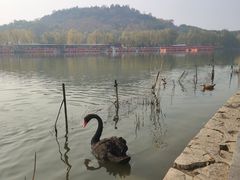 -南翠屏公园