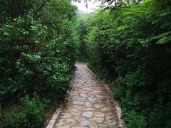 -水池山公园