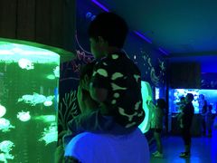 -多彩贵州城极地海洋世界