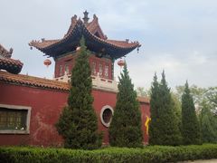 -大槐树寻根祭祖园