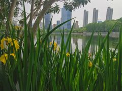 -后襄河公园