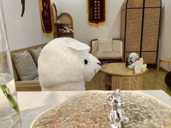 -Your Yoga Pilates·瑜伽普拉提习练室
