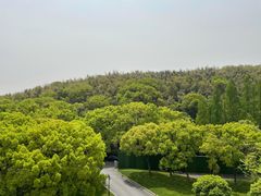 -上海佘山世茂艾美酒店