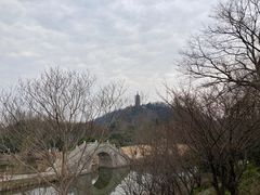 -焦山风景区