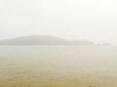 -洋山深水港
