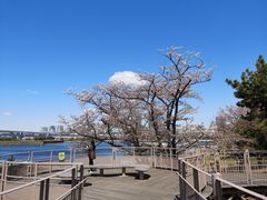 -台场海滨公园船码头