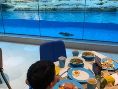 -帝企鹅自助餐厅•儿童岛•真企鹅(长隆企鹅酒店)