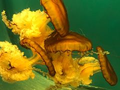 -华夏文旅西安度假区