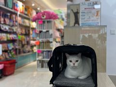 -北京观赏动物医院·24小时大型综合·猫专科·异宠专科