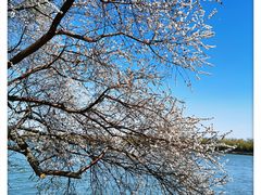 -颐和园