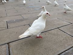 -昆明洲际酒店