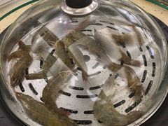 -港畔赶海蒸汽海鲜烧烤自助(仙螺岛店)