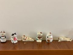 -有猫主题·治愈系猫咖(曾厝垵店)