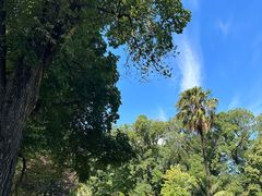 -墨尔本皇家植物园