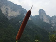 -鹿院坪生态旅游景区