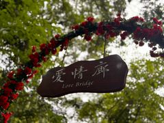-南丹山森林王国
