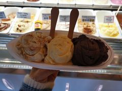 -Dooley's Premium Ice Cream