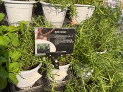 -Olé精品超市(沈阳万象城店)