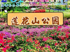 -莲花山公园